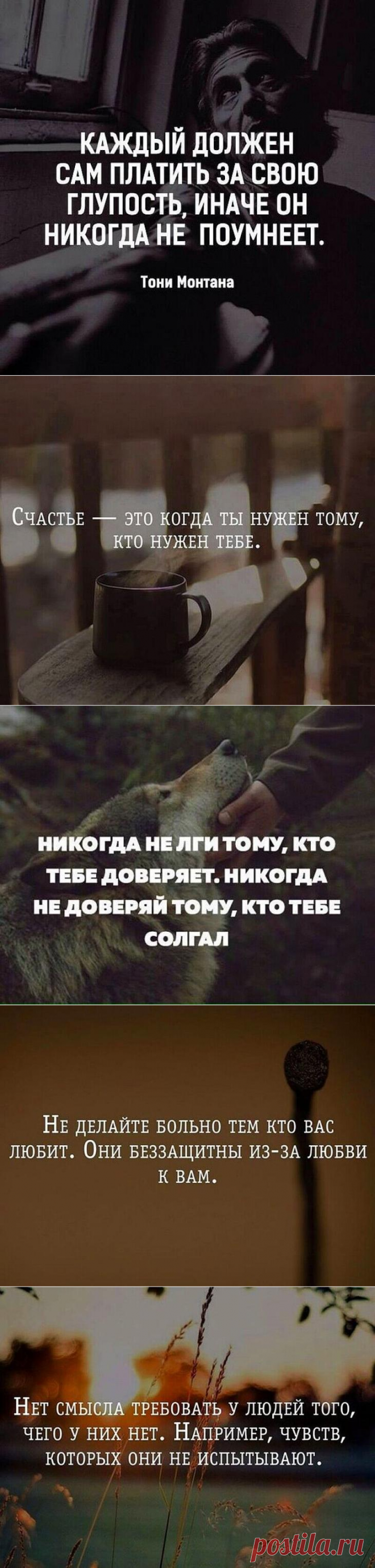 25 поводов посмеяться от души: шуточки и анекдоты для чудесного настроения