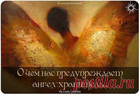 УДИВИСЬ И ВОСХИТИСЬ!!! ...и подпишись:)