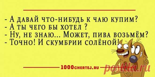 25 добродушных анекдотов в карточках, заряжающие словно батарейки