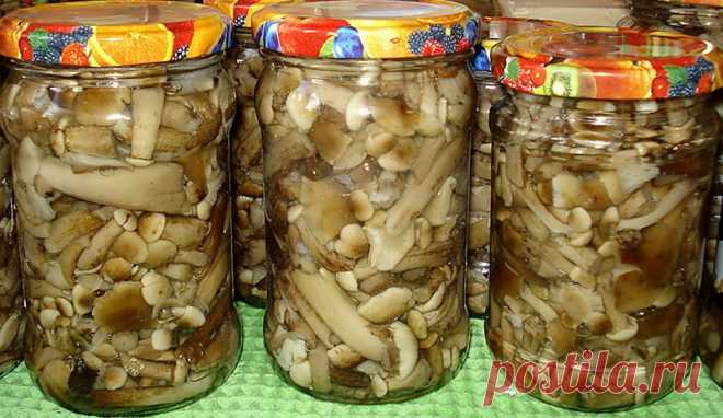 Маринованные опята. Несколько рецептов