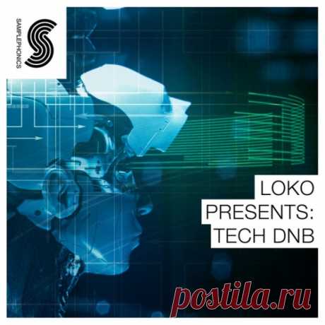 Samplephonics Loko Tech DnB MULTiFORMAT-MAGNETRiXX   | 589 MB

DNB producers unite! Drum and Bass pioneer Loko (RAM and Viper records) takes the stage with this head banging, cone smashing masterpiece, squashed full of filthy drum and bass and half step loops and samples.
