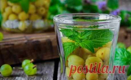 Настойка из крыжовника 🥃 - 7 простых домашних рецептов | alco-safe | Яндекс Дзен