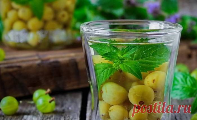 Настойка из крыжовника 🥃 - 7 простых домашних рецептов | alco-safe | Яндекс Дзен