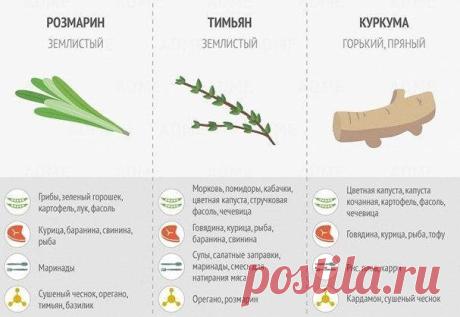 Используйте специи, и ваши блюда будут еще вкуснее!
#рецепты@thelady