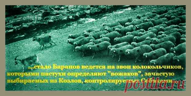 Оптимизация населения по Грефу. Или зачем Сбербанку наше образование. - Знай наших! - медиаплатформа МирТесен