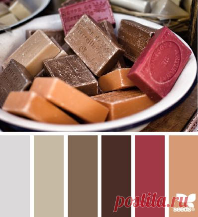 design seeds | market tones | for all who ♥ color