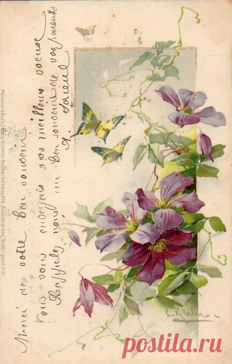 Найдено на сайте vintagepinegreenwoods.tumblr.com.