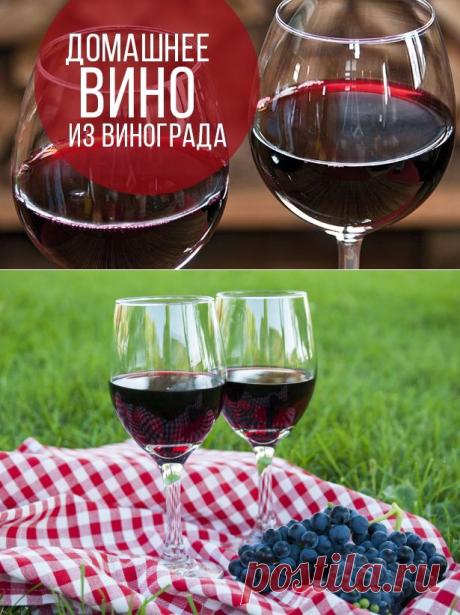 Как самому приготовить вино из винограда: бесценный рецепт