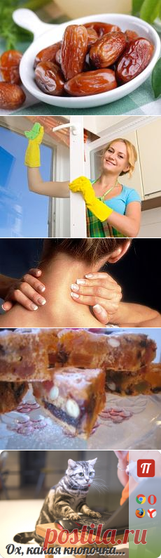 ❀ Красим яйца. Убрать холку. Окна без разводов. Финики. Постная выпечка. Страстная нееделя // Кусочек Постилы к чаю! - ivanushkina50@mail.ru - Почта Mail.Ru