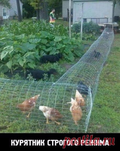 Идеи вашего дома