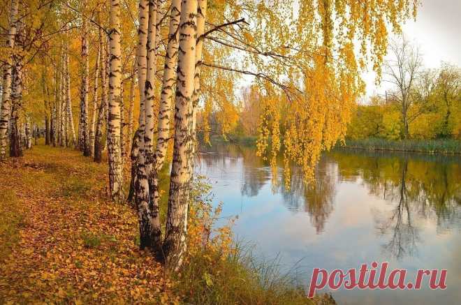 Пахнет осенью. Что-то необыкновенно грустное, приветливое и красивое.
Взял бы и улетел куда-нибудь вместе с журавлями...

А.Чехов