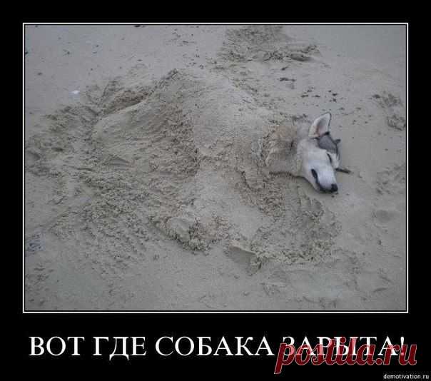 Da liegt der Hund begraben / Изучение немецкого языка