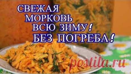 СВЕЖАЯ МОРКОВЬ ВСЮ ЗИМУ! БЕЗ ПОГРЕБА! КАК СОХРАНИТЬ МОРКОВЬ БЕЗ ПОГРЕБА.