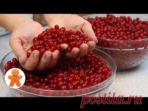 Калиновое Варенье ✧ Калина на Зиму