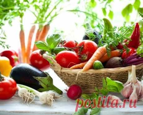 Дрожжи для богатого урожая