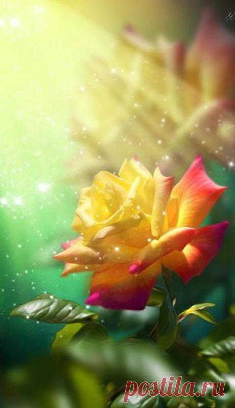 Порою так немного надо
Для исцеленья от тоски,
Тепло участливого взгляда,
Прикосновение руки.
И слову доброму внимая,уже весь мир вокруг любя,
Ты отхлебнёшь крутого чая,
Заваренного для тебя.
И вдруг поймёшь,
Что в мире бренном,
Где все надежды хороши,
Дороже всех прикосновений -
Прикосновение души.

 Музыка — Прикосновение... Души и Сердца...