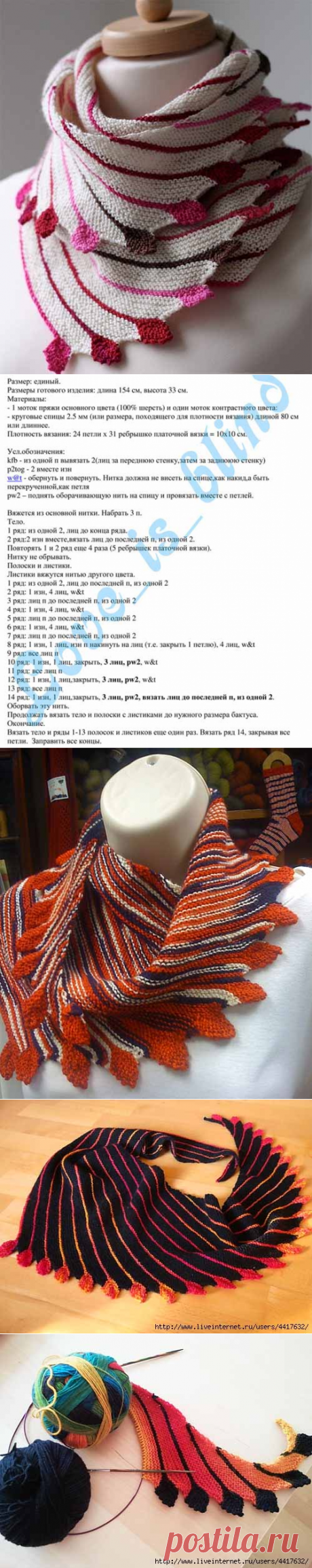 Необычный бактус