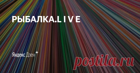 РЫБАЛКА.L I V E | Яндекс Дзен Здравствуйте! Меня зовут Дмитрий. На своём канале я делюсь интересными историями из своей многолетней  рыболовной практики, так же увлекаюсь подводной съёмкой. Новые видео каждый день. Делаю обзоры на рыболовные товары. Рассказываю о жизни в Сочи.