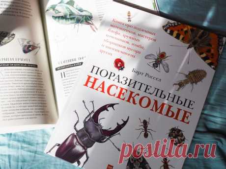 «Поразительные насекомые» — новая книга про подземных математиков, мастеров блефа, дружных кочевников, зомби, уборщиков мусора и многих-многих других С этой книгой вы откроете для себя мир насекомых во всем его разнообразии. В этих маленьких существах поразительно все — от внутреннего строения до поведения. Вот несколько интересных фактов из книги: • сестры в пчелином улье относятся друг к другу лучше, чем к собственным детям; • волк в овечьей шкуре действительно существует; • светиться от…