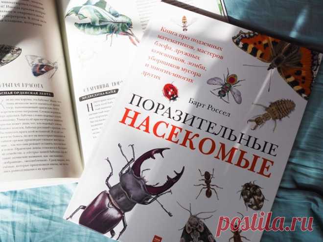 «Поразительные насекомые» — новая книга про подземных математиков, мастеров блефа, дружных кочевников, зомби, уборщиков мусора и многих-многих других С этой книгой вы откроете для себя мир насекомых во всем его разнообразии. В этих маленьких существах поразительно все — от внутреннего строения до поведения. Вот несколько интересных фактов из книги: • сестры в пчелином улье относятся друг к другу лучше, чем к собственным детям; • волк в овечьей шкуре действительно существует; • светиться от…