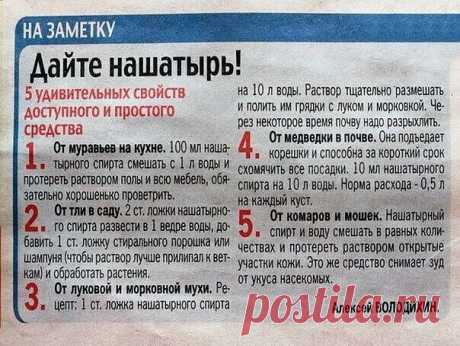 Сохраните к себе