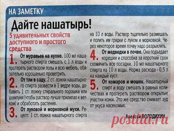 Сохраните к себе