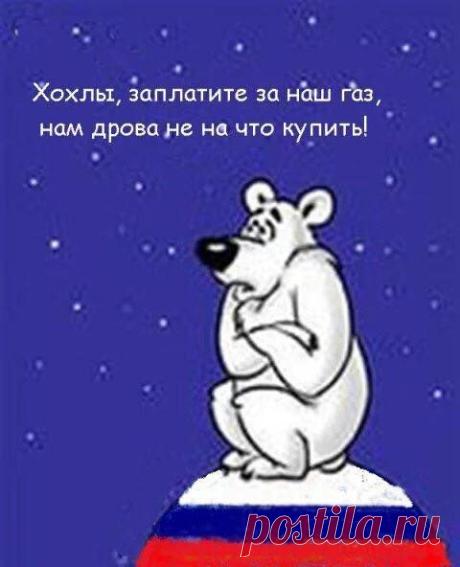 (3) Facebook