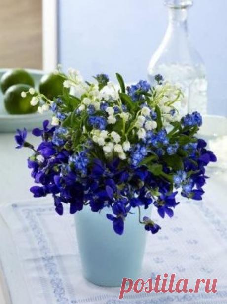 (99) Одноклассники