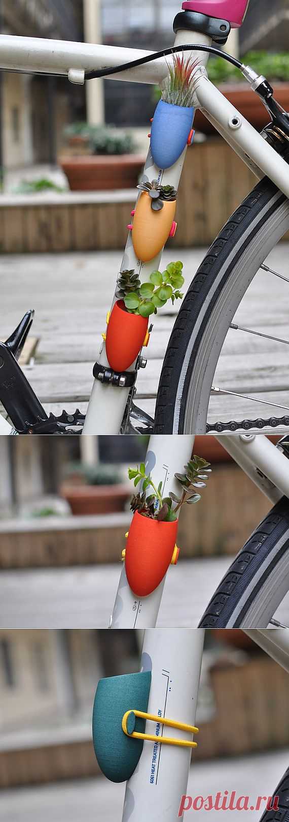 Минисад для велосипеда / Авто Мото Вело / Модный сайт о стильной переделке одежды и интерьера