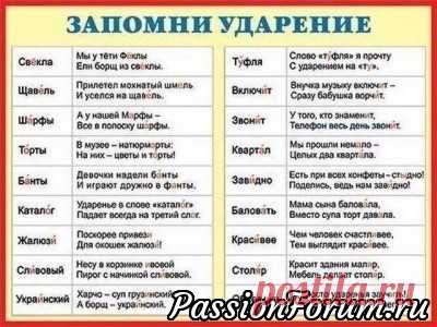 История про ударение