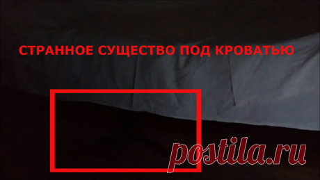 Призрак попал в кадр видео под кроватью? Странное и загадочное существо снятое ночью на камеру слежения. Это история произошла в Москве ночью 4 сентября 2019 года. На видеорегистратор в кадр попал странное существо черного цвета с длинными руками оно выползало под кровати. Что это было непонятно может это был призрак. Хозяин боится спать в этой комнате хочет уехать подальше оттуда. Есть слухи в этом комнате повесился один алкоголик, может он от страха сума начал сходить