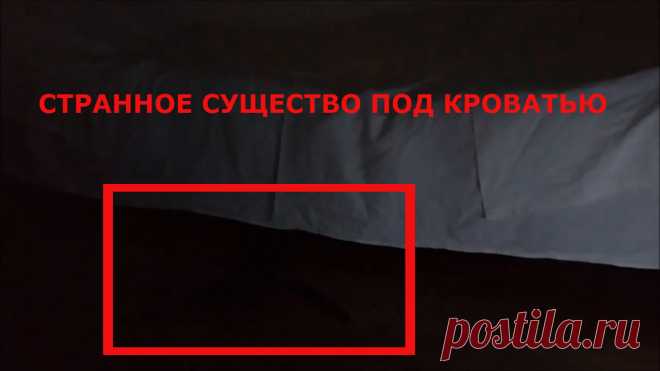 Призрак попал в кадр видео под кроватью? Странное и загадочное существо снятое ночью на камеру слежения. Это история произошла в Москве ночью 4 сентября 2019 года. На видеорегистратор в кадр попал странное существо черного цвета с длинными руками оно выползало под кровати. Что это было непонятно может это был призрак. Хозяин боится спать в этой комнате хочет уехать подальше оттуда. Есть слухи в этом комнате повесился один алкоголик, может он от страха сума начал сходить
