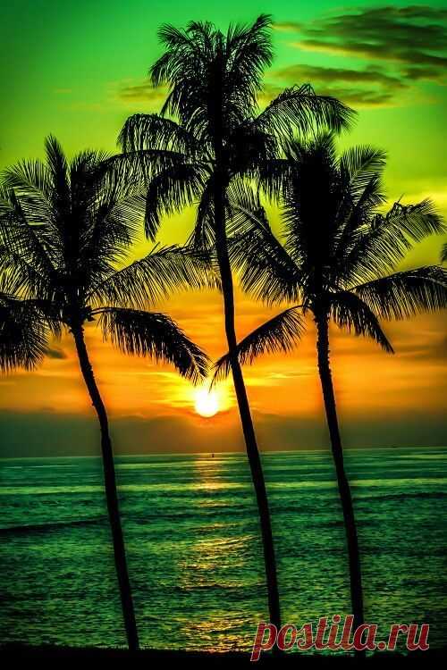 Late Night Randomness (28 Photos)  
See how we planned a great Hawaiian vacation- Give us a vote…   |   Pinterest • Всемирный каталог идей