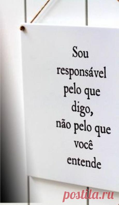 Sou responsável pelo que digo nao pelo que vc entede
