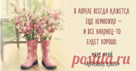 20 цитат Макса Фрая, дарящих веру в чудеса: ↪