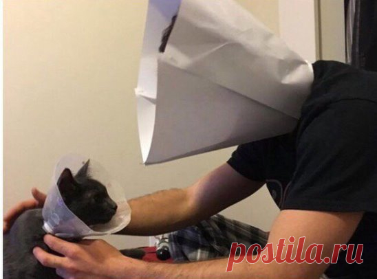 Парень сделал себе конус, чтобы его коту не было так обидно