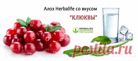Алоэ клюква Гербал | Herbal отзывы