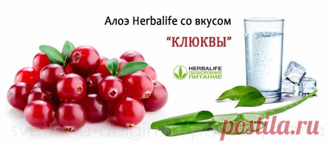 Алоэ клюква Гербал | Herbal отзывы