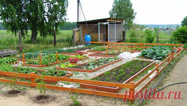 8 ОГОРОДНЫХ СЕКРЕТОВ.