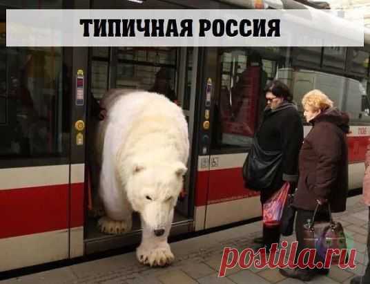 (73) Одноклассники