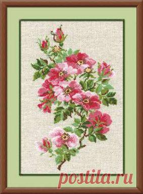 Фабрика Пряжи :: RIOLIS Сотвори сама(Цветочные композиции) :: №809 "Шиповник"