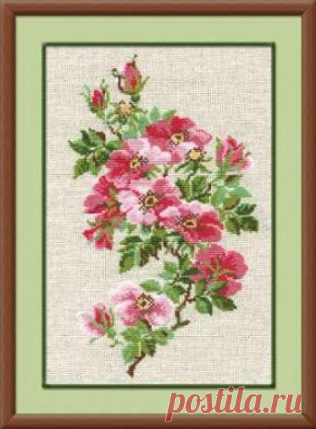 Фабрика Пряжи :: RIOLIS Сотвори сама(Цветочные композиции) :: №809 &quot;Шиповник&quot;