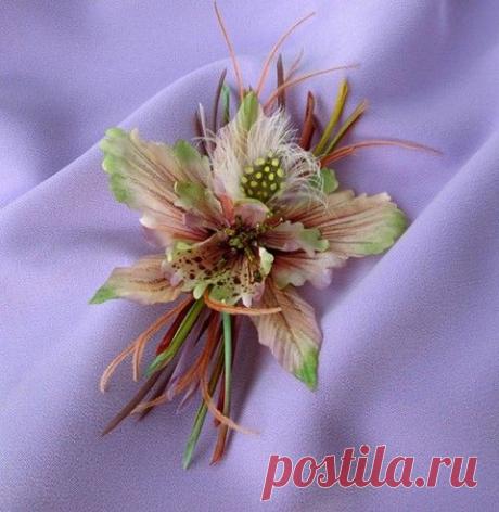 (7) Facebook
