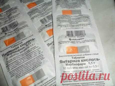 Не поверите, этот стимулятор роста для цветов продается в аптеках за сущие копейки. » Главная | Кайфово.ком