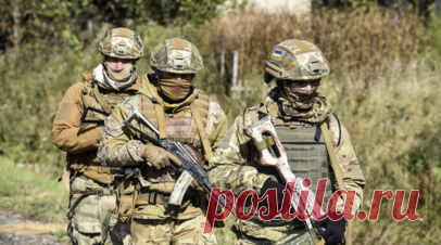 РИА Новости: боевой дух в 95-й бригаде ВСУ упал, военные не хотят на передовую. В 95-й бригаде Вооружённых сил Украины упал боевой дух, военные не хотят выдвигаться на передовые позиции. Читать далее