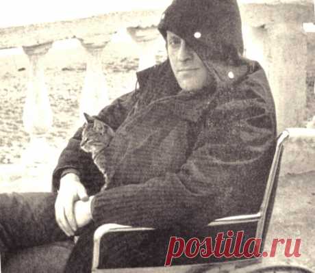 Радуюсь, встретив сороку в поле, как завидевший берег Ной...
Сумерки, снег, наконец, сама тишина - избавит меня, надеюсь,
от необходимости - прости за дерзость -объяснять самый факт письма.
 
Эти строчки, в твои персты попав (когда все в них уразумеешь
ты), побелеют, поскольку ты на слово и на глаз не веришь.
И ты настолько порозовеешь,насколько побелеют листы.