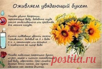 (6) Мой Мир@Mail.Ru
