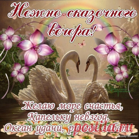(15) Зина Таирова