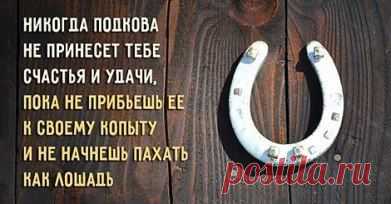 (68) Одноклассники