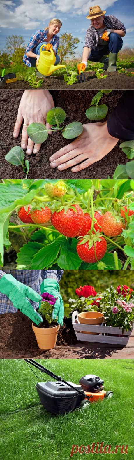 Сезонные работы в саду и огороде: первая неделя июня.

Вот и пришло лето. Со своими радостями и заботами: урожай наливается, зреет, но и вредители не дремлют. Солнышко припекает — сад и огород воды просят. А у дачников, как всегда, «планов громадье» — кто-то домик ремонтирует, кто-то баню строит, кто-то садовые дорожки мостит…